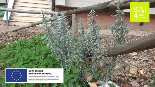 Al via Agrinet4Education, il progetto dedicato a sostenibilità ambientale e agricoltura