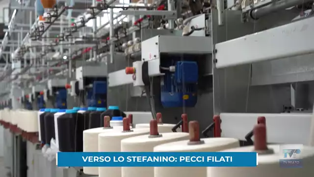 Stefanino 23-24 – Pecci Filati, uno dei poli produttivi che hanno reso grande il distretto