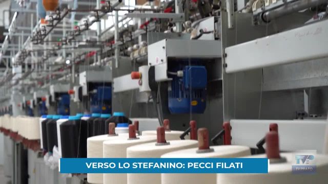 Stefanino 23-24 – Pecci Filati, uno dei poli produttivi che hanno reso grande il distretto