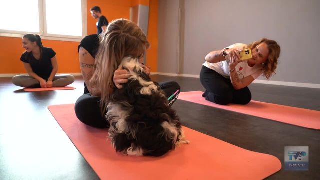 Puppy Yoga, arriva anche a Prato lo yoga.... con i cuccioli di cane