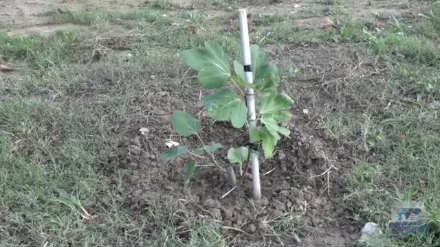 Prato Forest City entra nelle scuole