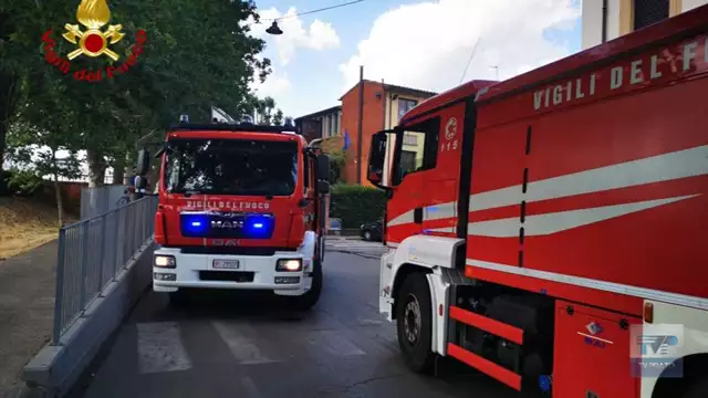 Le sterpaglie giganti in tangenziale e declassata