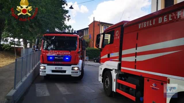 Le sterpaglie giganti in tangenziale e declassata