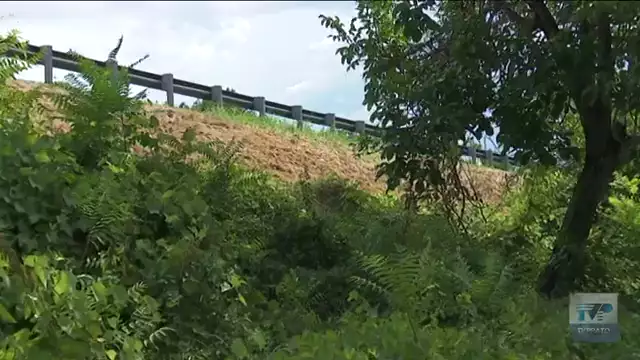 Incendi sterpaglie, in Declassata 100 mozziconi di sigarette in 30 centimetri