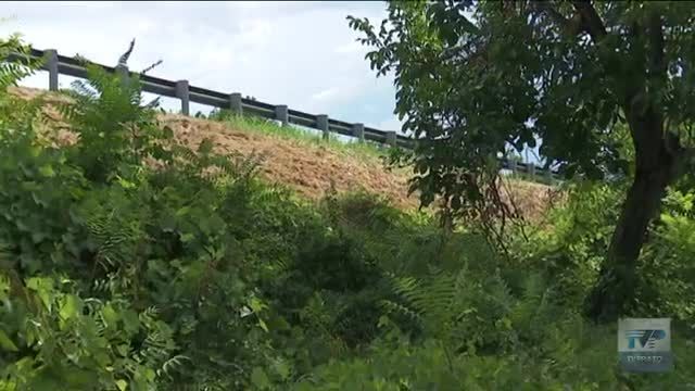 Incendi sterpaglie, in Declassata 100 mozziconi di sigarette in 30 centimetri