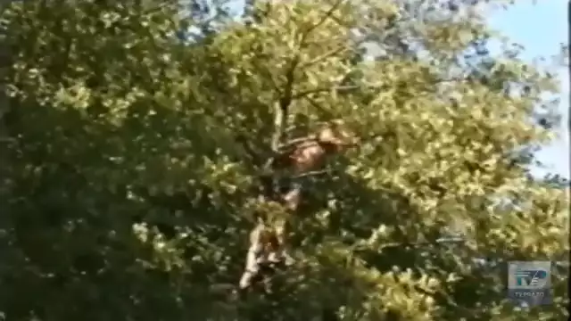 Le altre estati record della siccità a Prato