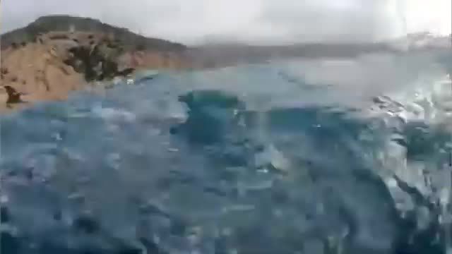 l'8 agosto torna da porto a porto