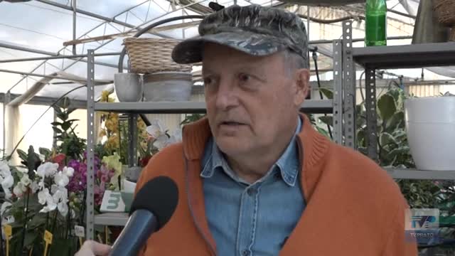 Caro-estinto, portare i fiori al cimitero costa sempre di più