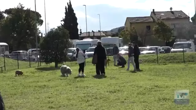 Poggio a Caiano inaugura una nuova area sgambatura in Viale Matteotti.