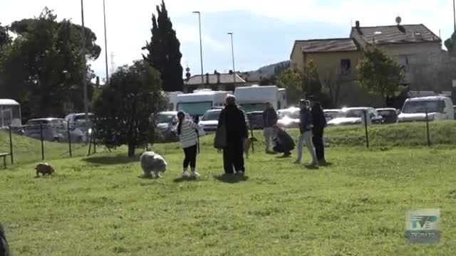 Poggio a Caiano inaugura una nuova area sgambatura in Viale Matteotti.