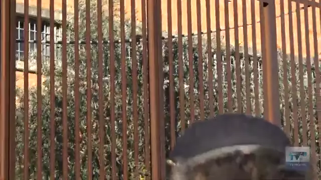 La Via Crucis in carcere