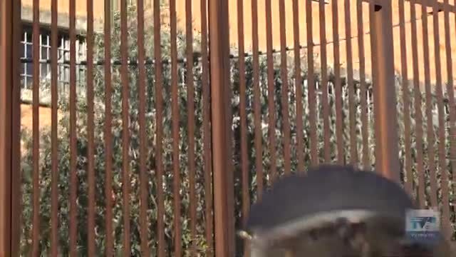 La Via Crucis in carcere