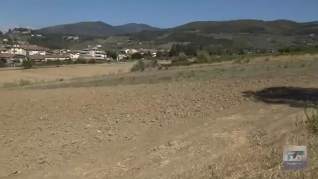 E' iniziata la vendemmia del pinot nero dei Marchesi Pancrazi